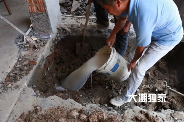 居民家挖出成千上万只白蚁 房子下面还有十几个窝