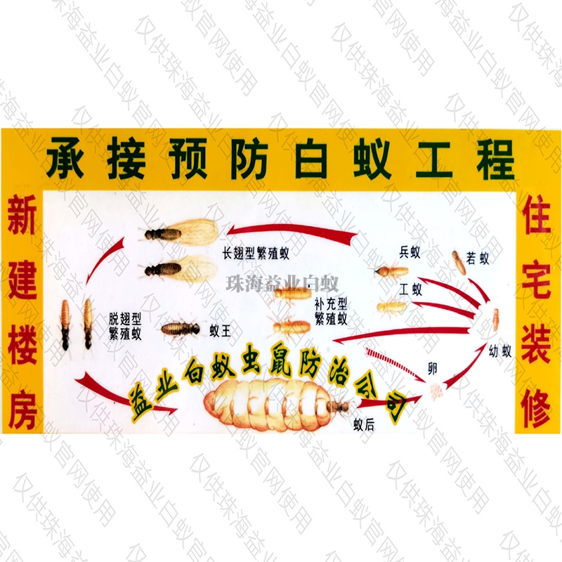 灭白蚁防治方法