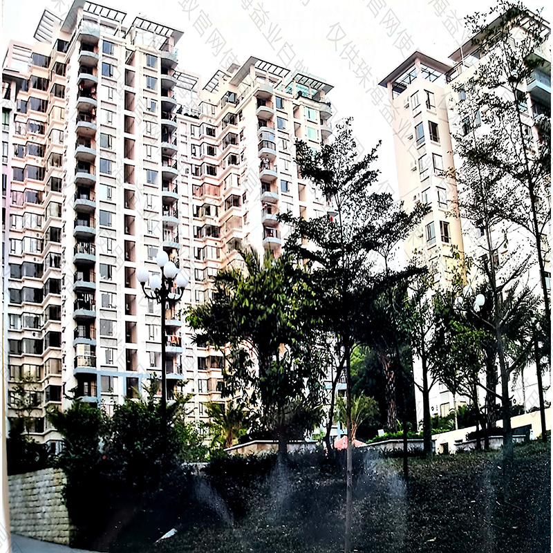 揭阳专业预防白蚁哪家好