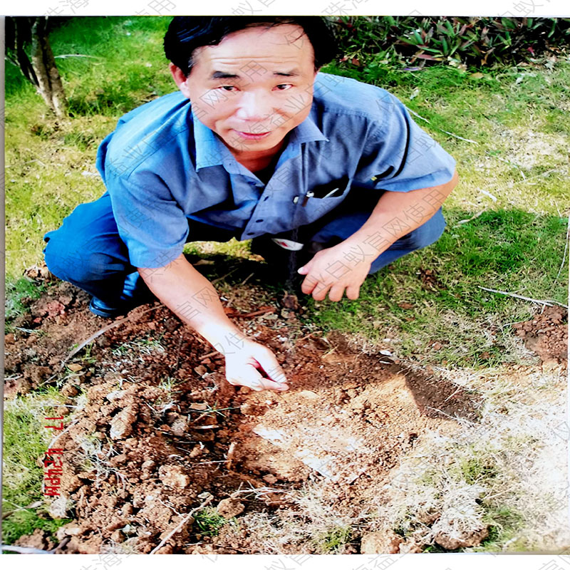 鹤山专业的新建预防哪家好