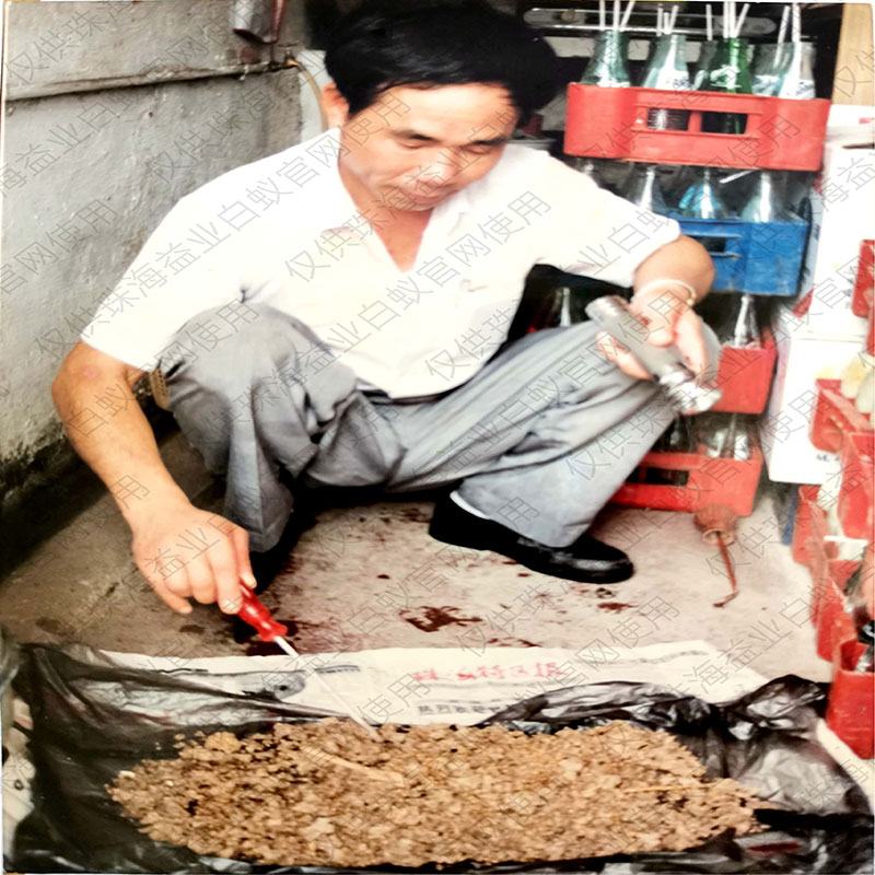 阳江专业白蚁防治价格
