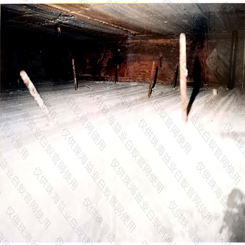 万山专业灭鼠公司
