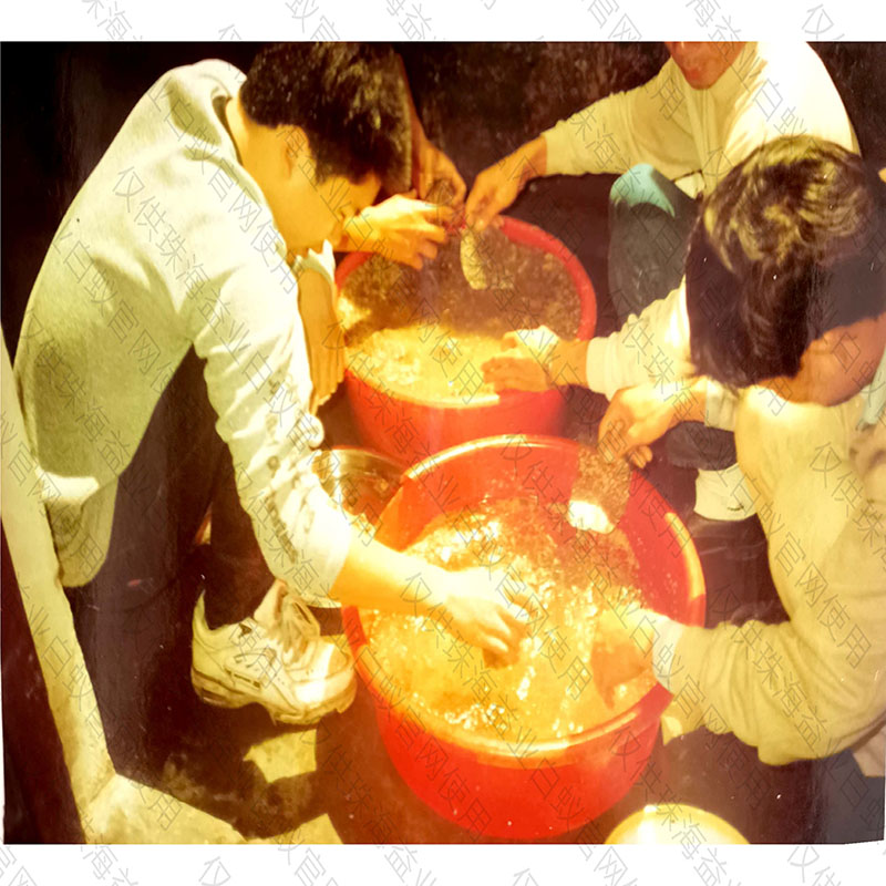 高州专业的白蚁预防哪家好