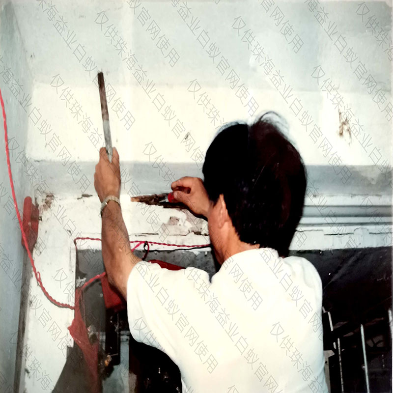 普宁靠谱的除四害价格
